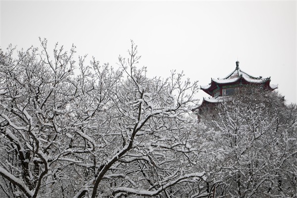 North Hill Park